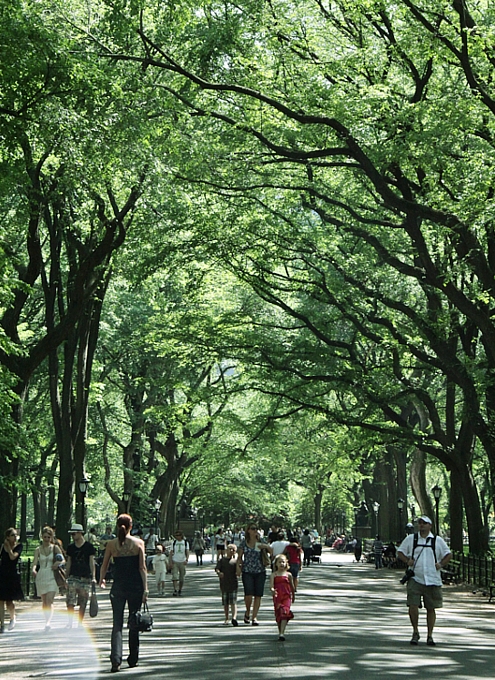 素顔のニューヨークを楽しむには公園巡りがオススメです_b0007805_23122738.jpg