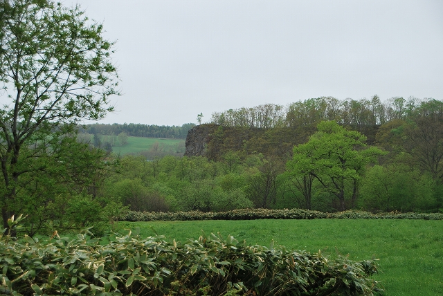 d0051707_21454556.jpg