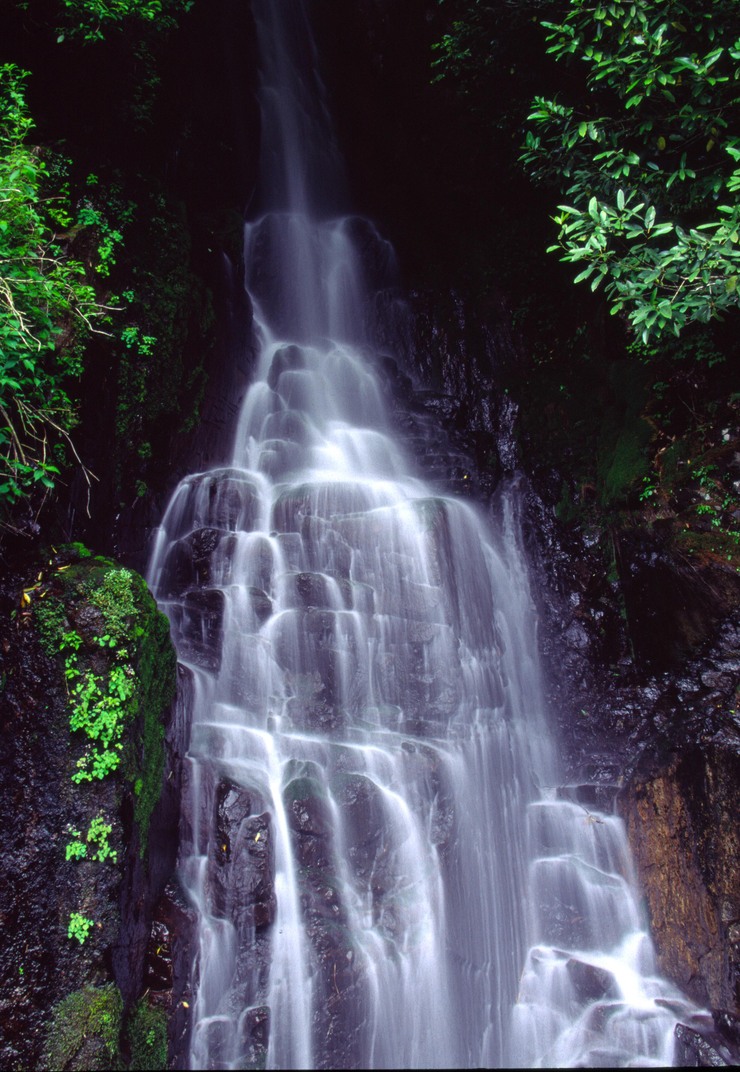 c0235114_955625.jpg
