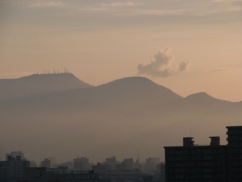 長かった一週間_c0025115_037133.jpg