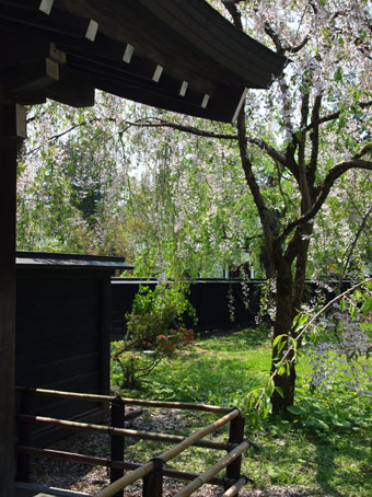 東北_d0062721_7141033.jpg