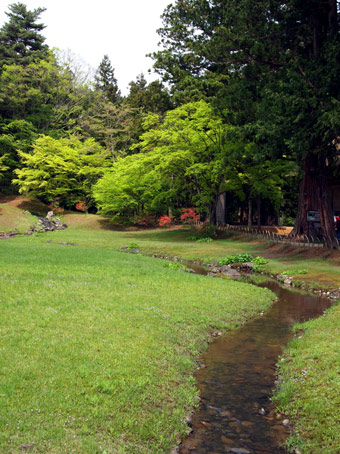 東北_d0062721_717313.jpg