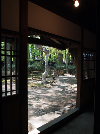 東北_d0062721_7195519.jpg