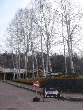 f0000521_17465380.jpg