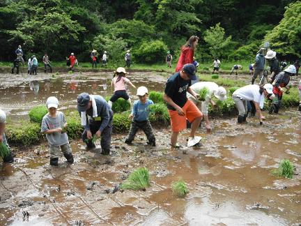 田植え_e0081632_23233872.jpg