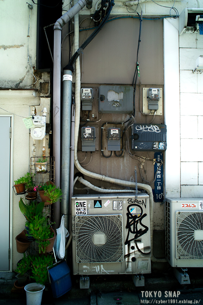 f0009439_1174859.jpg