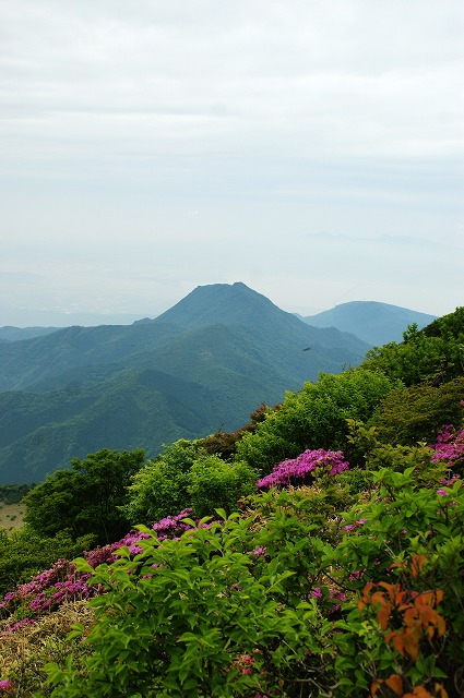 「緑滴る雲仙岳」（５）_f0201348_22562526.jpg