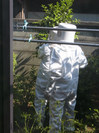 e0010353_21263377.gif