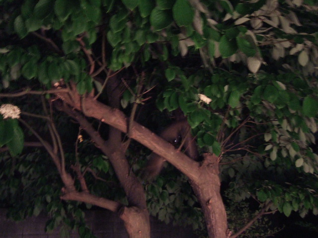 c0229062_14185781.jpg