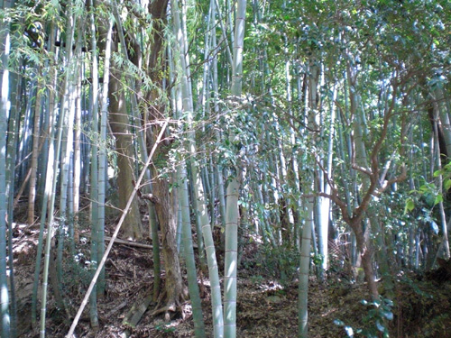 a0053063_1215587.jpg