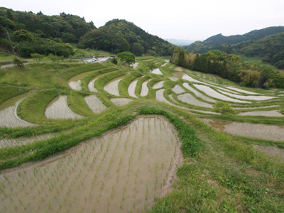 田植えの済んだ棚田を歩いてきました。_b0112263_23382964.jpg