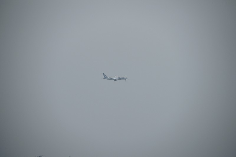 b0198768_2359287.jpg