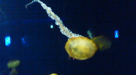 e0115872_1840288.jpg