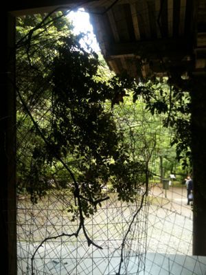 いつのまにか、、、_e0248573_2155826.jpg