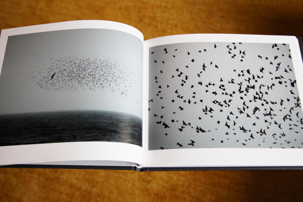 川内倫子 Rinko Kawauchi 「Murmuration」_c0016177_1185349.jpg