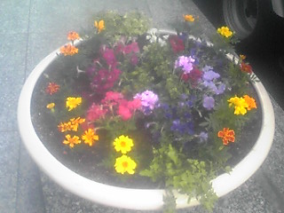 f0200477_214143.jpg