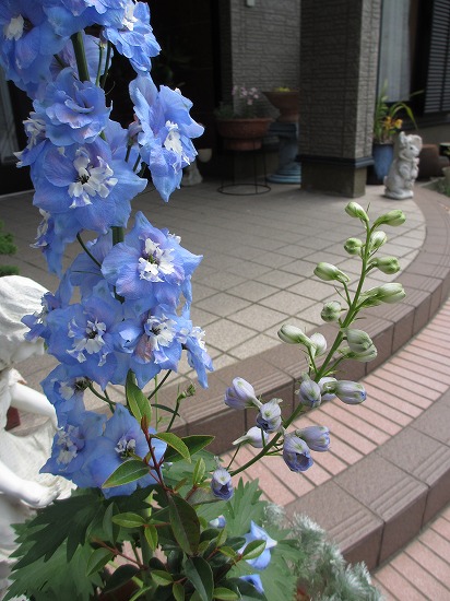 b0182884_2165673.jpg