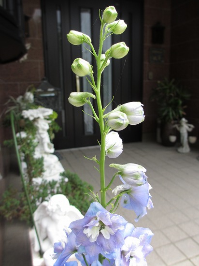 b0182884_217751.jpg