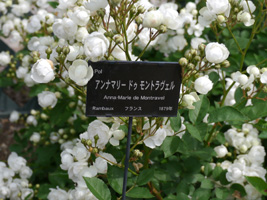 b0142989_23325367.jpg