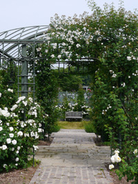 b0142989_23422525.jpg