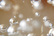 SENSE_d0132289_15255447.jpg