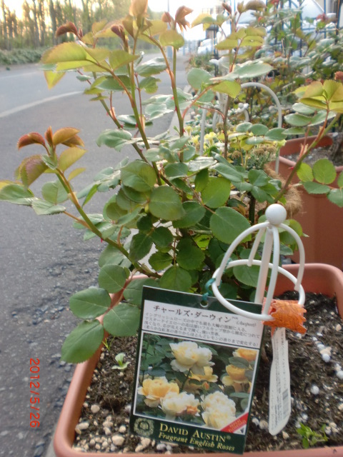 a0279990_21372220.jpg