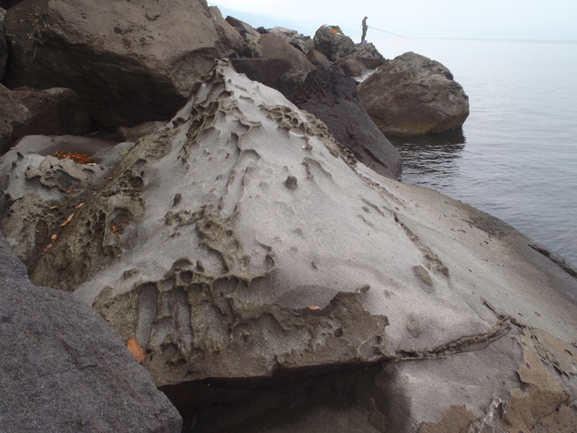 霧島地区のパークボランティア_a0188294_1610777.jpg