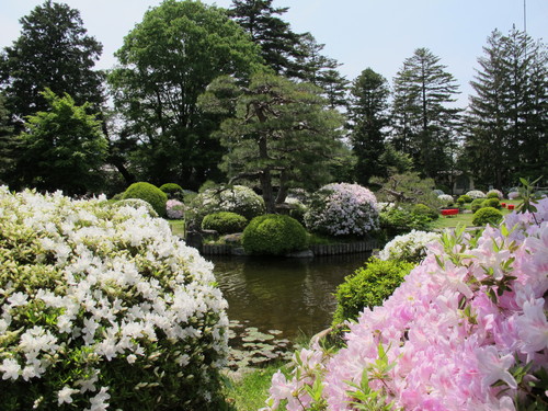 躑躅爛漫、上杉記念館庭園（２０）_c0075701_19442990.jpg