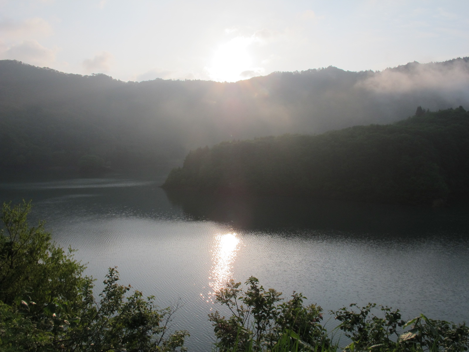 白川ダム湖畔の山道を歩き再び早春を体感する土曜日の朝（１）_c0075701_20384479.jpg