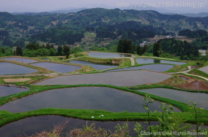 『山古志の棚田』_b0244602_11382462.jpg