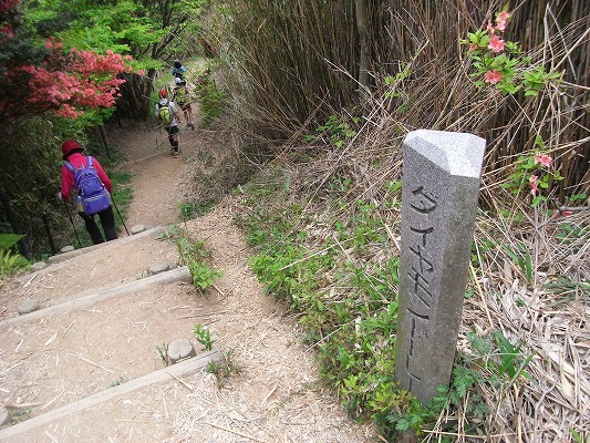 \'12-5：金剛山＆葛城山_f0187402_19425869.jpg