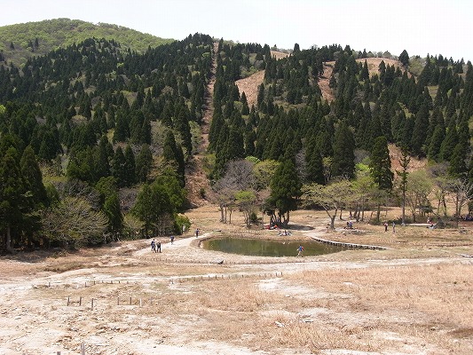 f0187402_74868.jpg