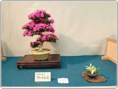 b0052108_2122265.gif