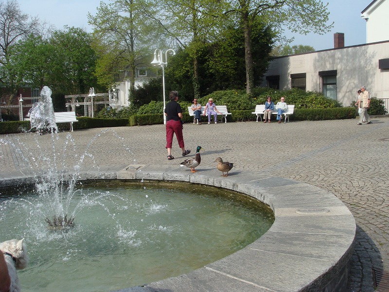 d0180809_23493251.jpg