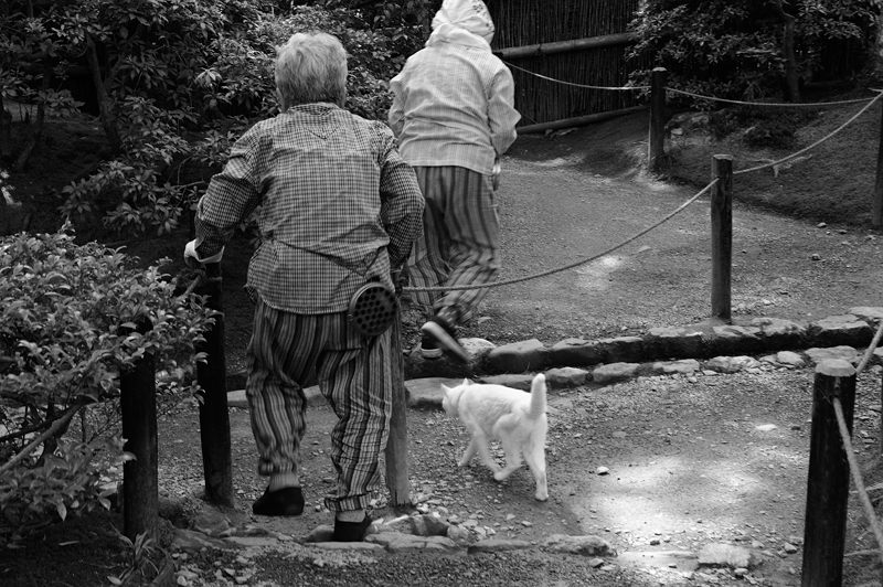 青葉巡り・祇王寺　其の二_f0032011_2010557.jpg