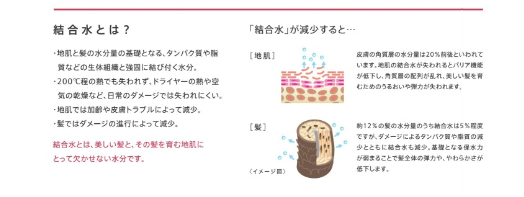 new!! サロントリートメント パート5_c0222817_901661.png