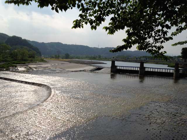 e0049318_1162596.jpg
