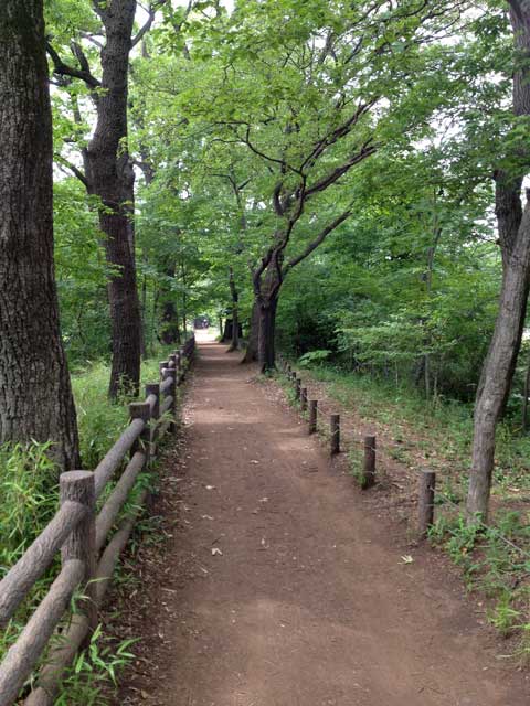e0049318_933164.jpg