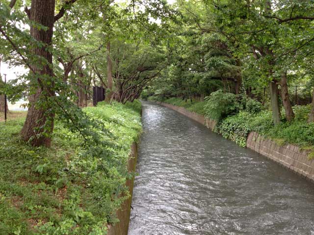 e0049318_9391597.jpg