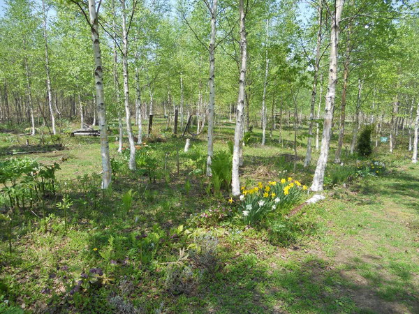 d0143719_17175874.jpg