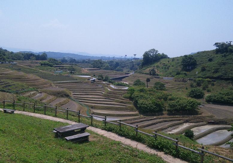 f0228619_2031276.jpg