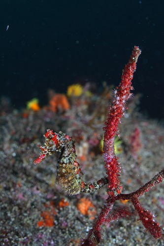 f0206424_10281489.jpg