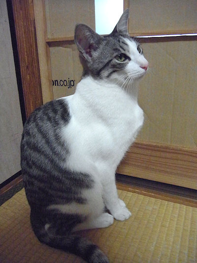 f0007926_10124767.jpg
