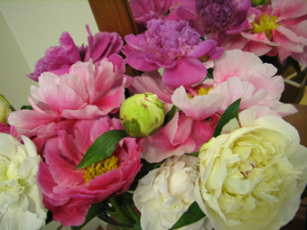 b0080027_22461683.jpg