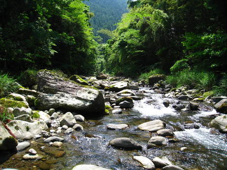 a0233432_23134883.jpg