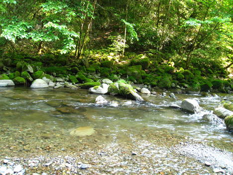 a0233432_23275359.jpg
