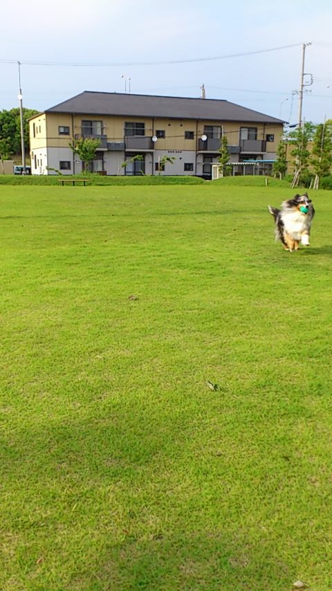 d0252434_16472329.jpg