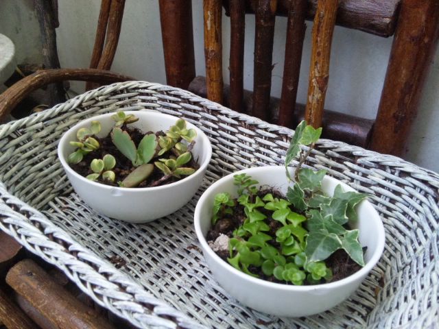 a0211435_12223357.jpg