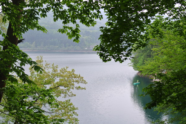 d0170835_2001792.jpg