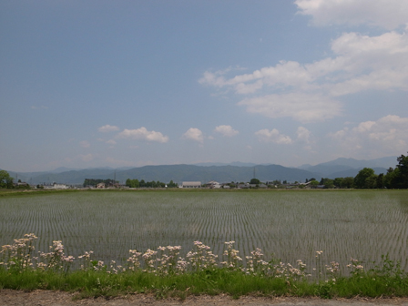 a0014840_2303884.jpg